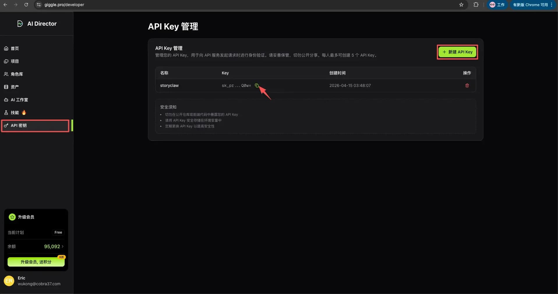 Create an API Key in Giggle AI Director