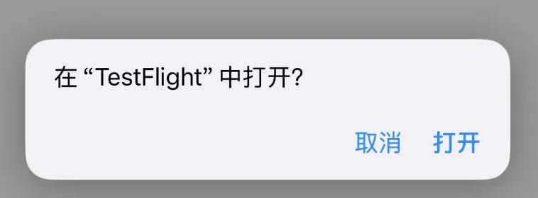 提示在 TestFlight 中打开