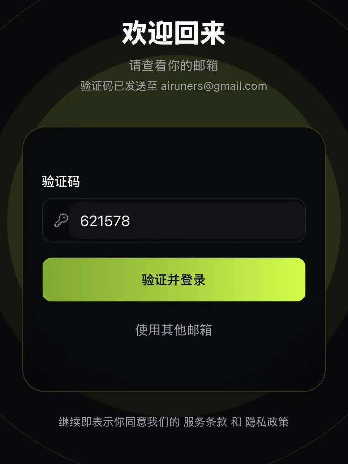 输入验证码